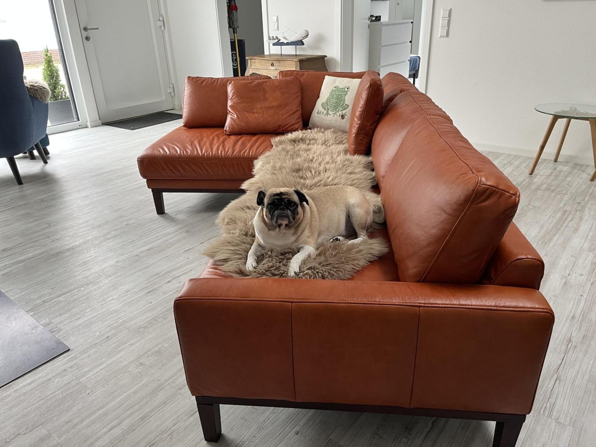 Ferienwohnung Nr 5 ヴンストルフ エクステリア 写真